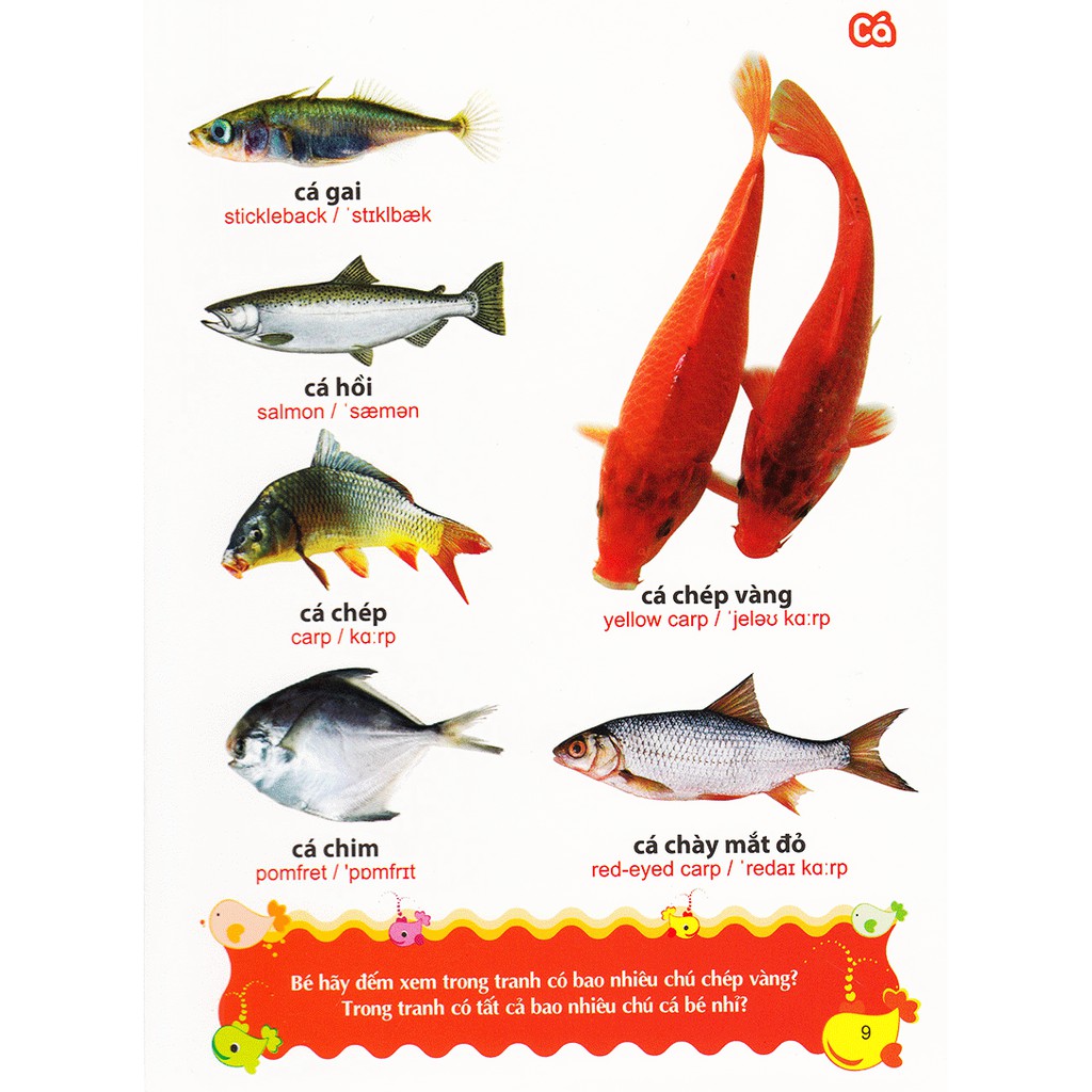 Sách- Từ Điển Tranh Về Các Con Vật (ML)