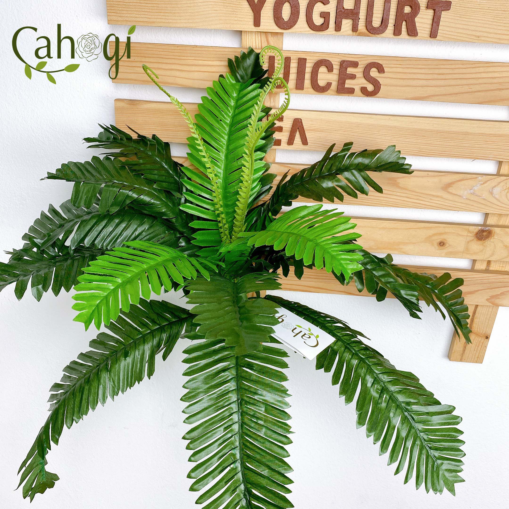 Cây Giả Cây Vạn Tuế Cỡ Trung Bằng Vải