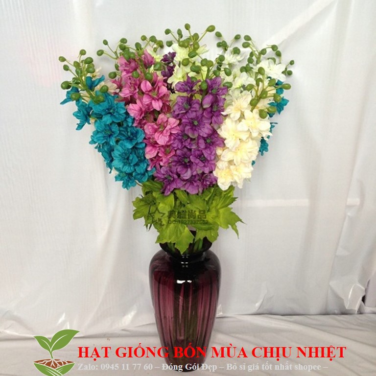 Hạt giống hoa phi yến - 10 hạt đến mùa trồng tết