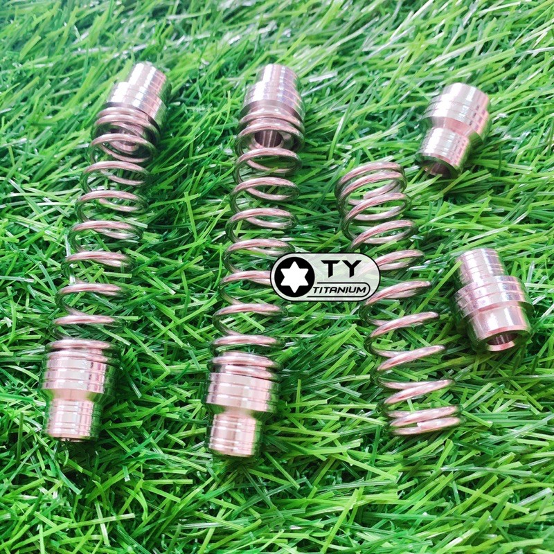 Lò xo Đũa Thắng Salaya inox304 gắn các dòng xe như hình
