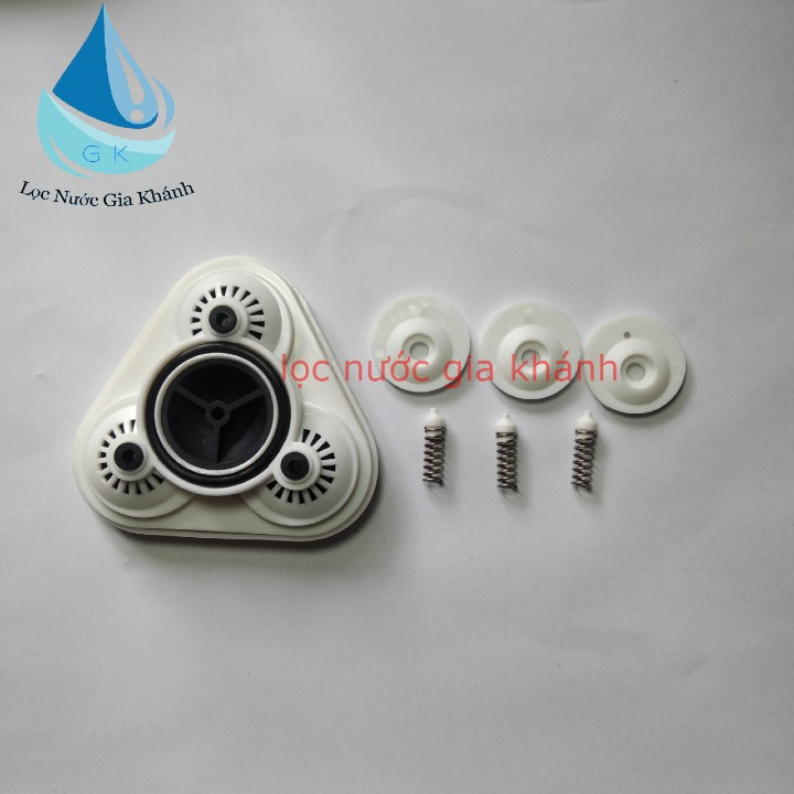 10 bộ kíp bơm việt, bộ phớt bơm máy lọc nước việt