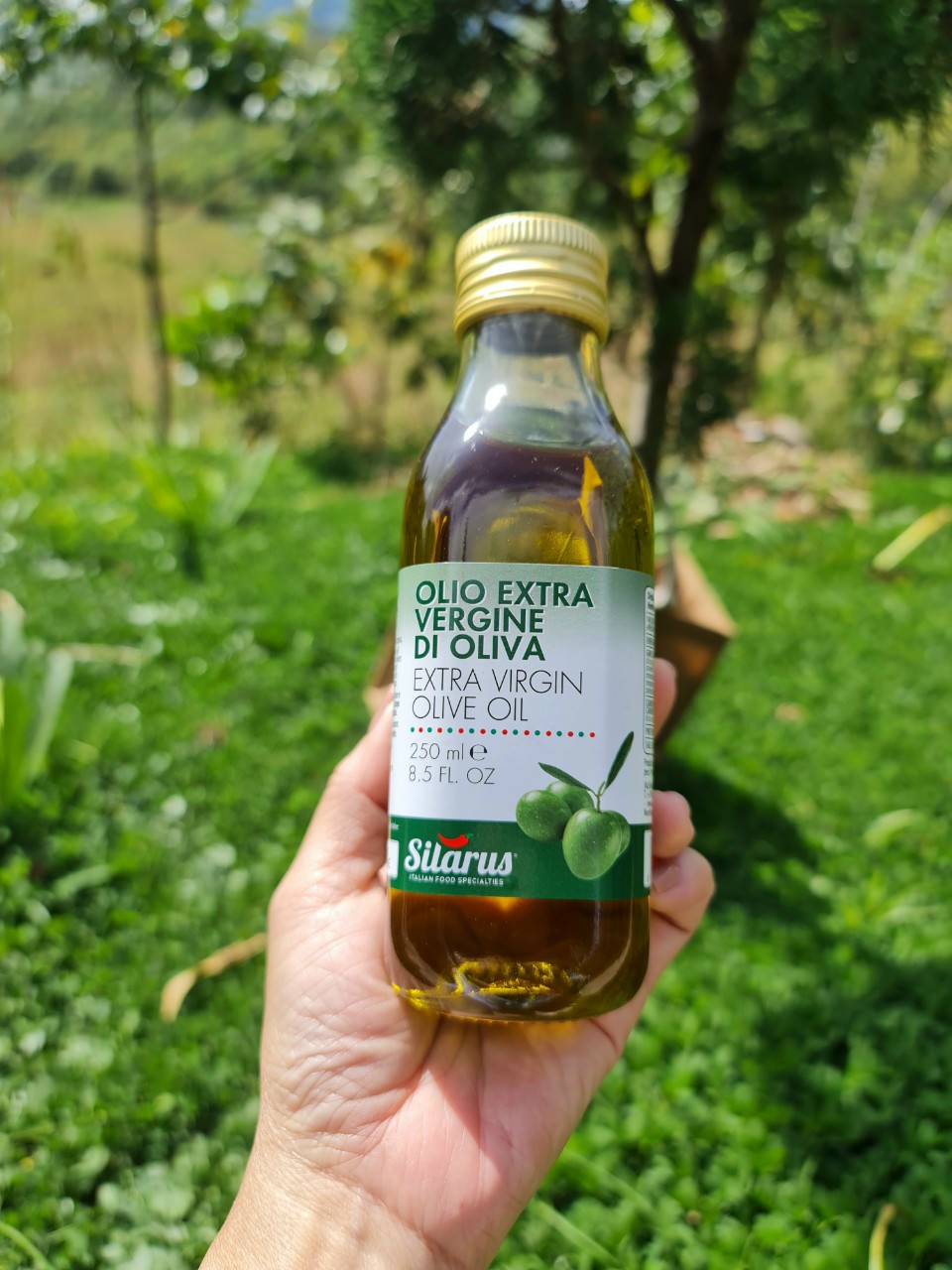 Dầu Oliu Nguyên chất Silarus (Extra Virgin) 250ml