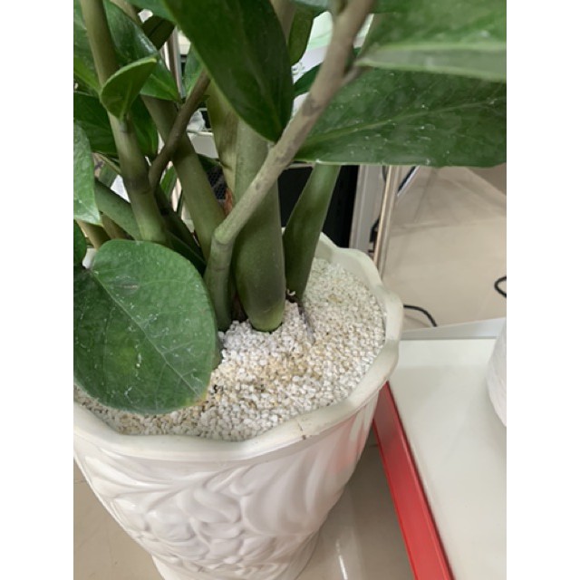 Đá perlite - đá trân châu dùng trộn đất 5l