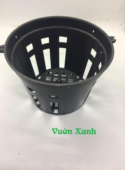 Combo 10 chậu trồng lan đen fi 21