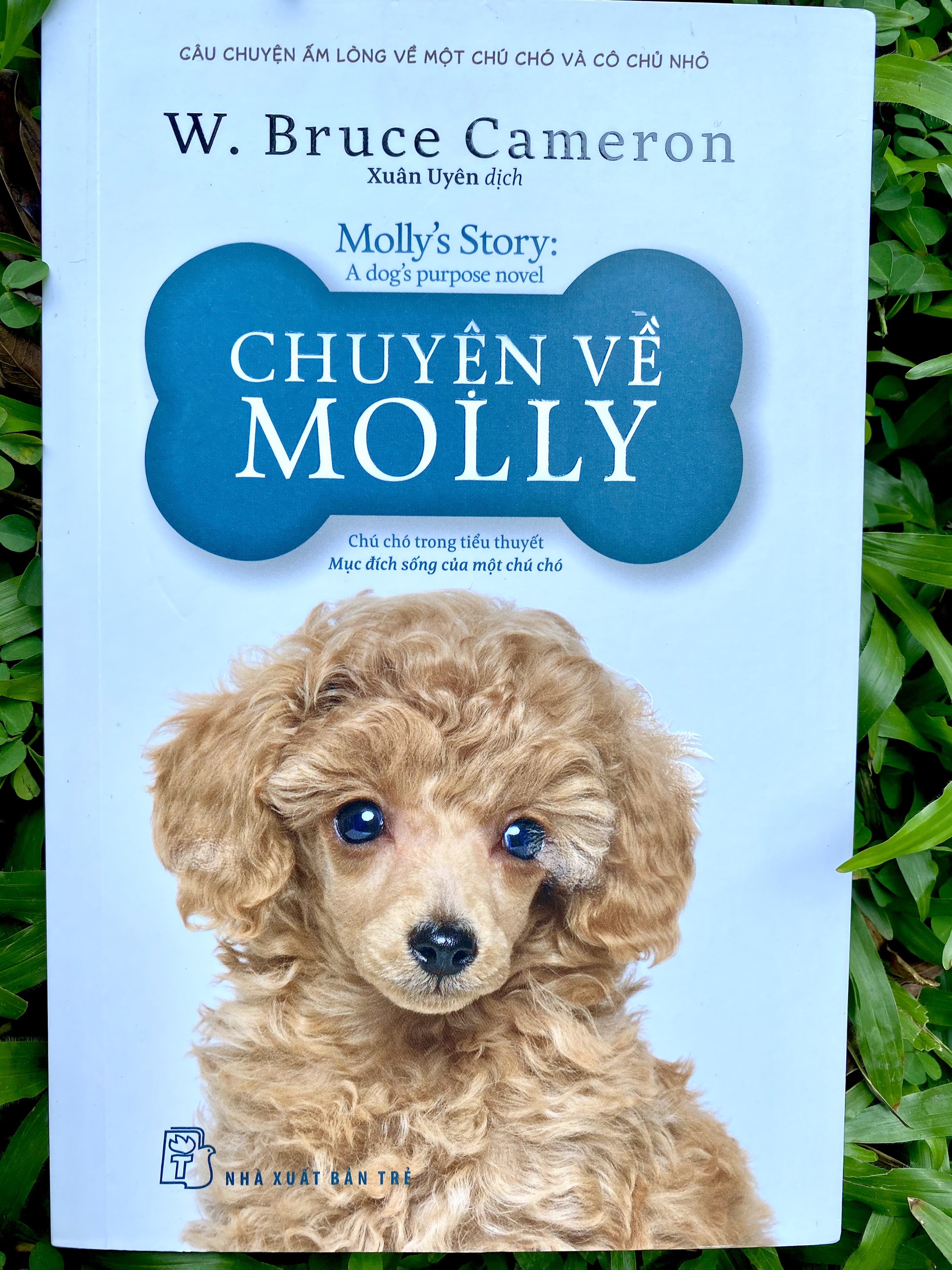 Chuyện Về Molly - W Bruce Cameron