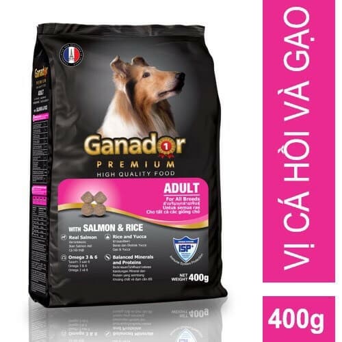 [pettohouse gò vấp] Combo 10 gói thức ăn cho chó trưởng thành Ganador premium adult dog 400g salmon and rice hạt khô cá hồi và gạo tiêu chuẩn pháp cho chó trên 12 tháng tuổi