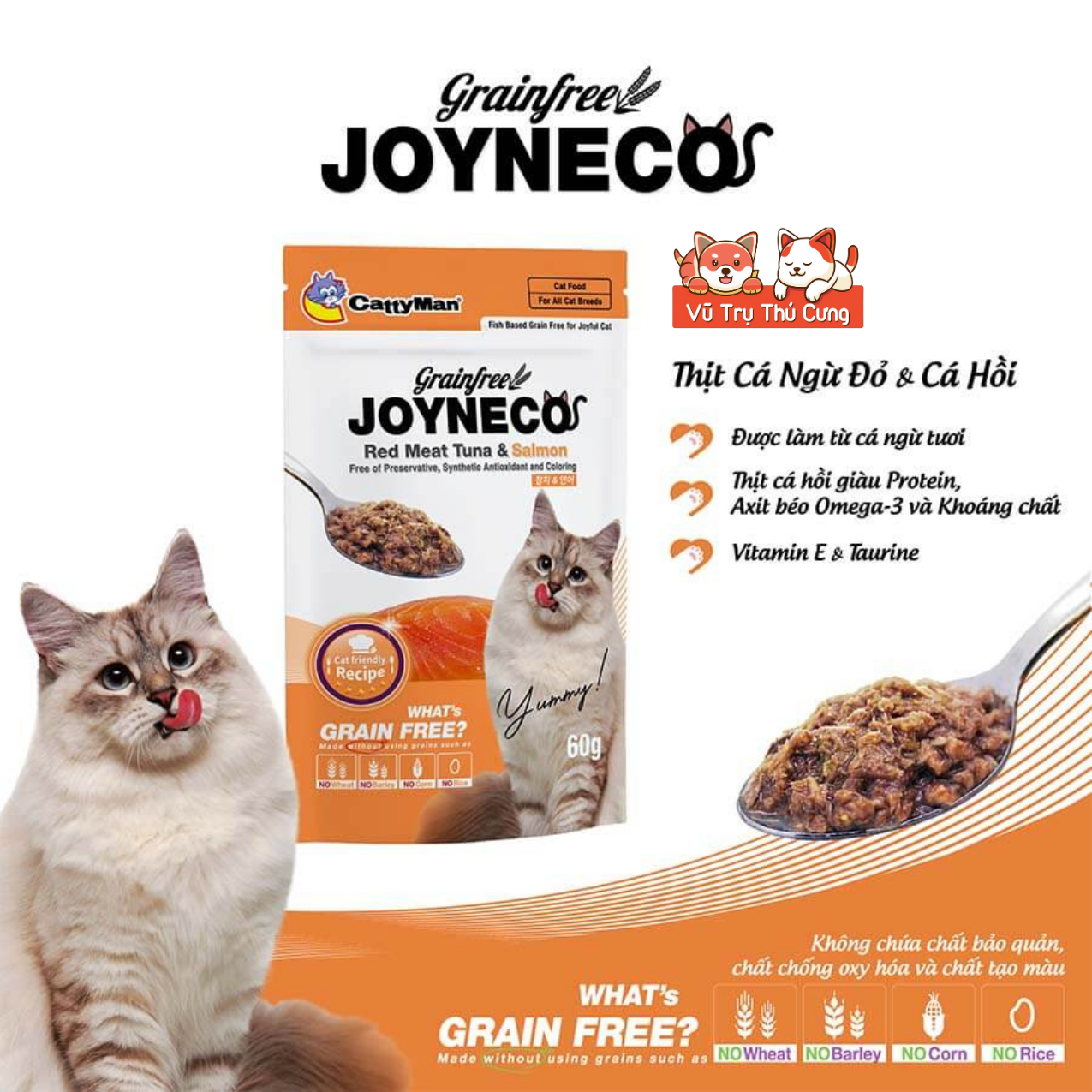 Pate Catty Man Joyneco cho Mèo gói 60g