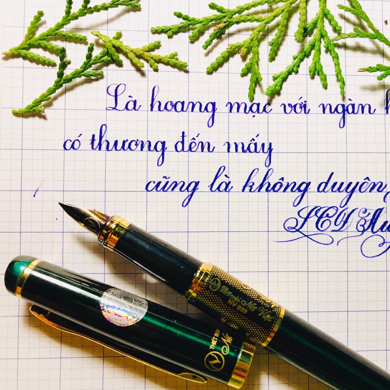 🌸 Bút máy thanh đậm Nét Việt NV039