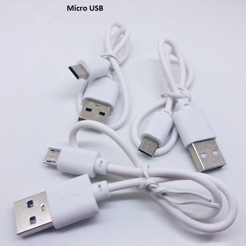 Cáp sạc dự phòng 30cm micro usb, type C