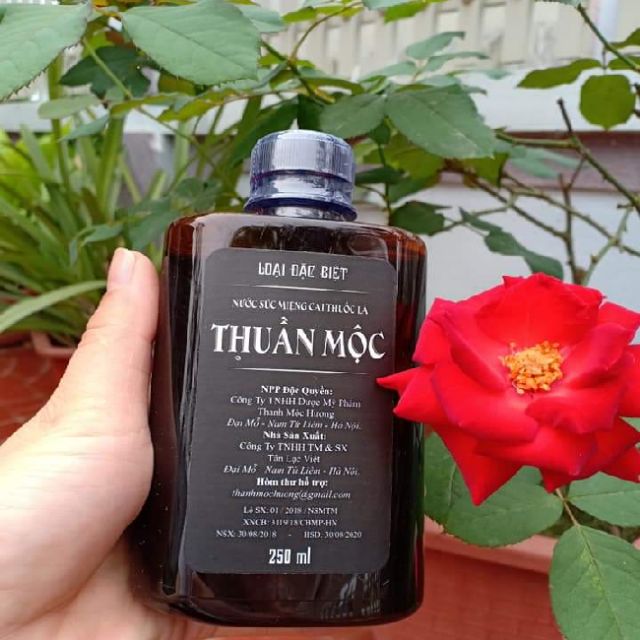 NƯỚC SÚC MIỆNG CAI THUỐC THUẦN MỘC THANH MỘC HƯƠNG HCM HẾT THÈM THUỐC DỨT