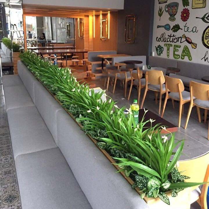 Hoa Giả Hoa Lụa 🌺FREESHIP🌺 Lá Dứa 3 Hoa, Lan Leo