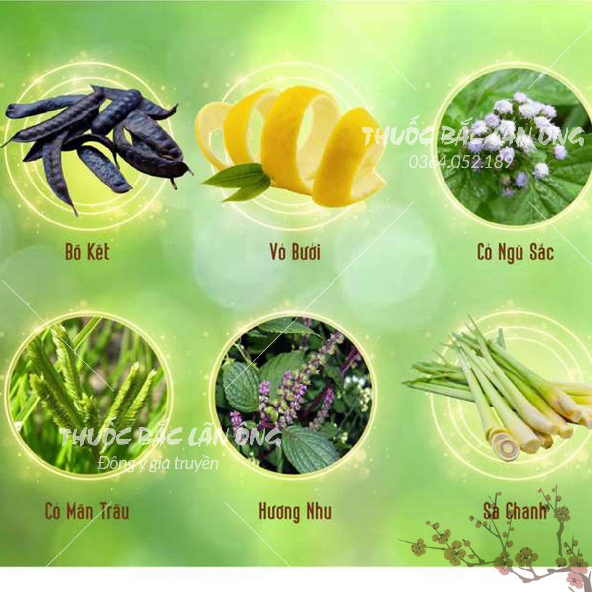 Trái bồ kết khô 1kg