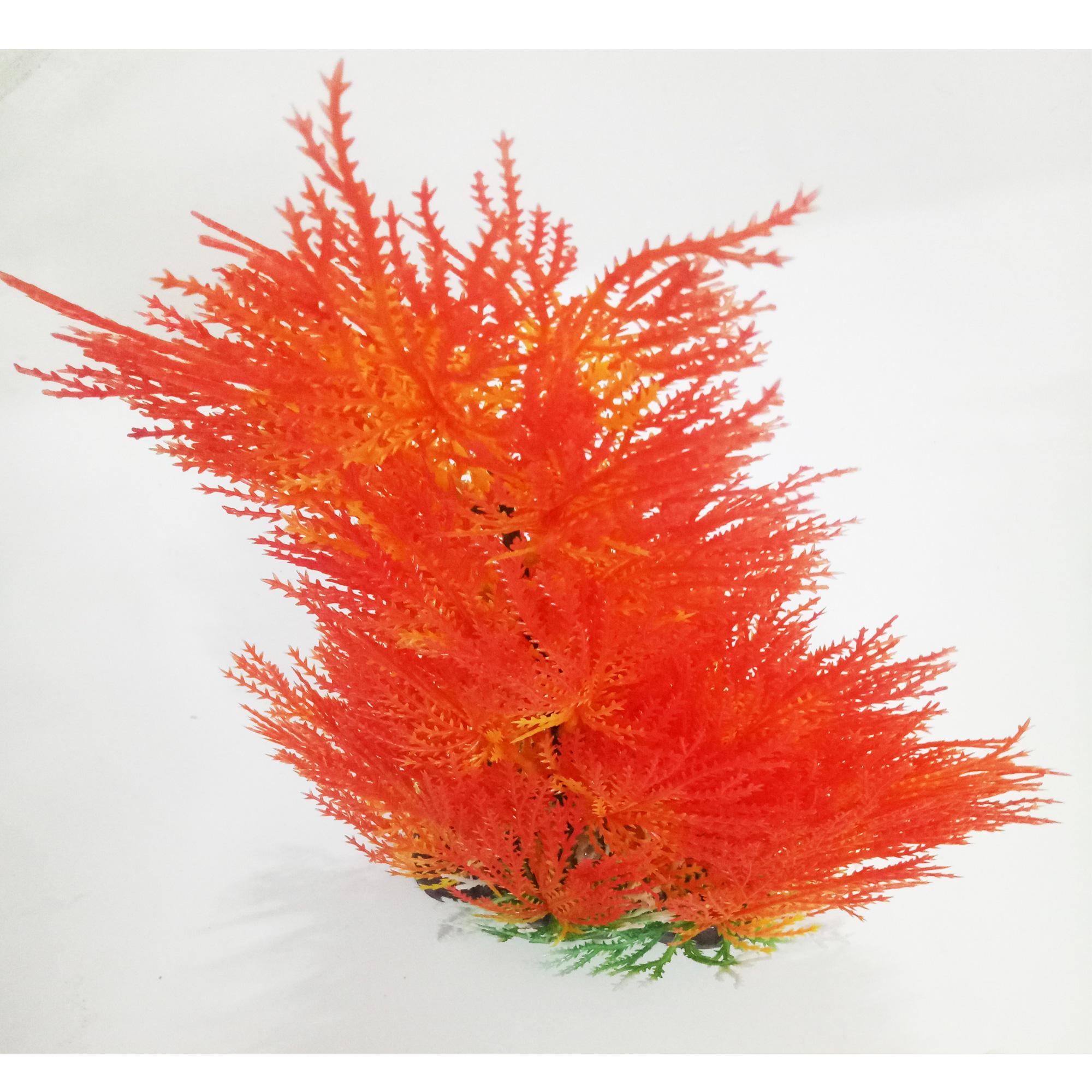 Bộ 4 Cây Trang Trí Bể Cá Size Đại (Khoảng 25cm x 17cm Mỗi Cây) - Đồ Trang Trí Hồ Cá