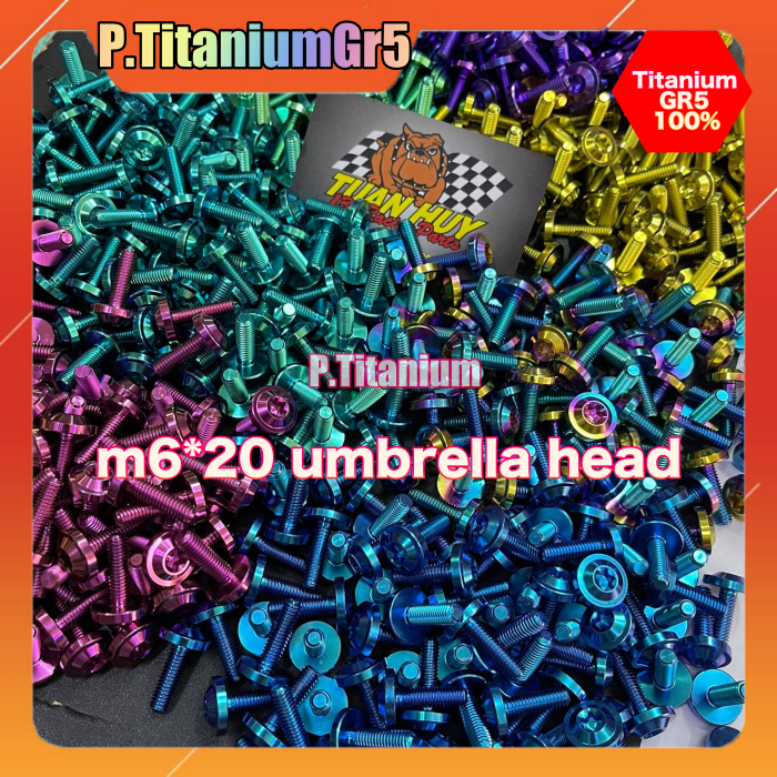 [HCM] 1 con Ốc Titan Gr5 6li10 6li15 6li20 dù to cao cấp chuẩn Titan Xịn