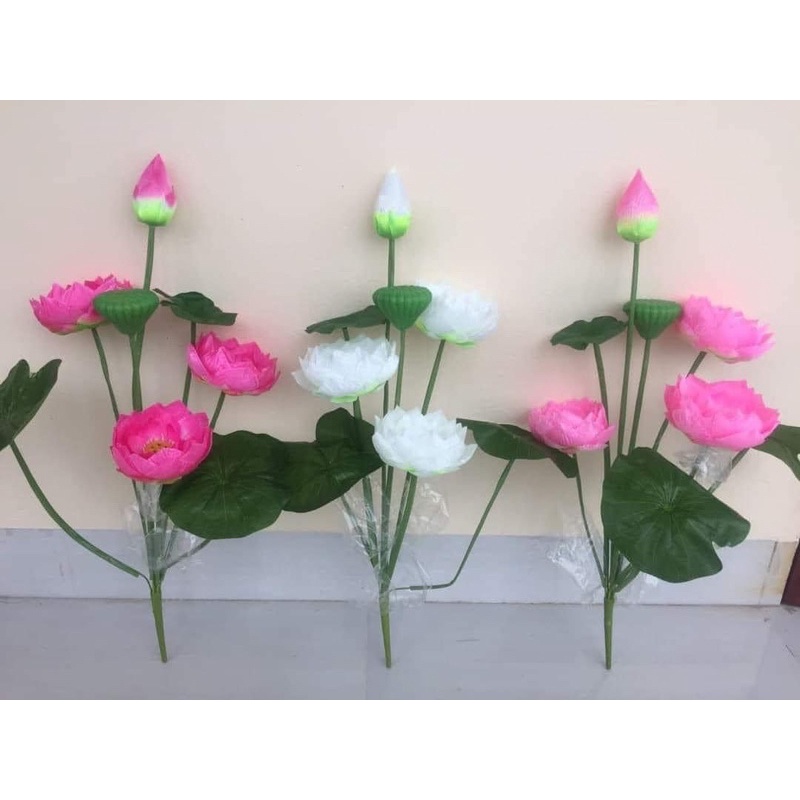 Hoa Sen Giả- Hoa S.ú.n.g- Sen Lụa