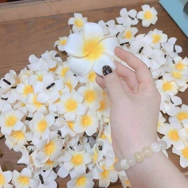 [ COMBO 5 ] Kẹp tóc hoa đại