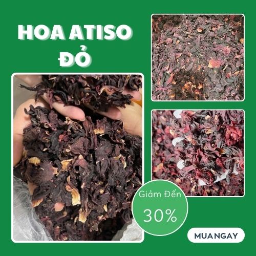 High-Quality Clean Products Dried Red Artichoke Flowers 100g - Ton of Product