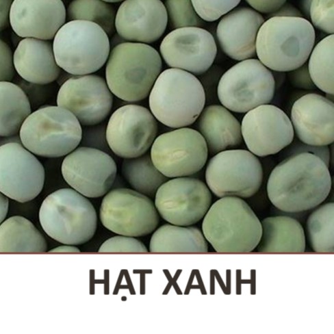 Hạt giống Rau Mầm Đậu Hà Lan - 500gr