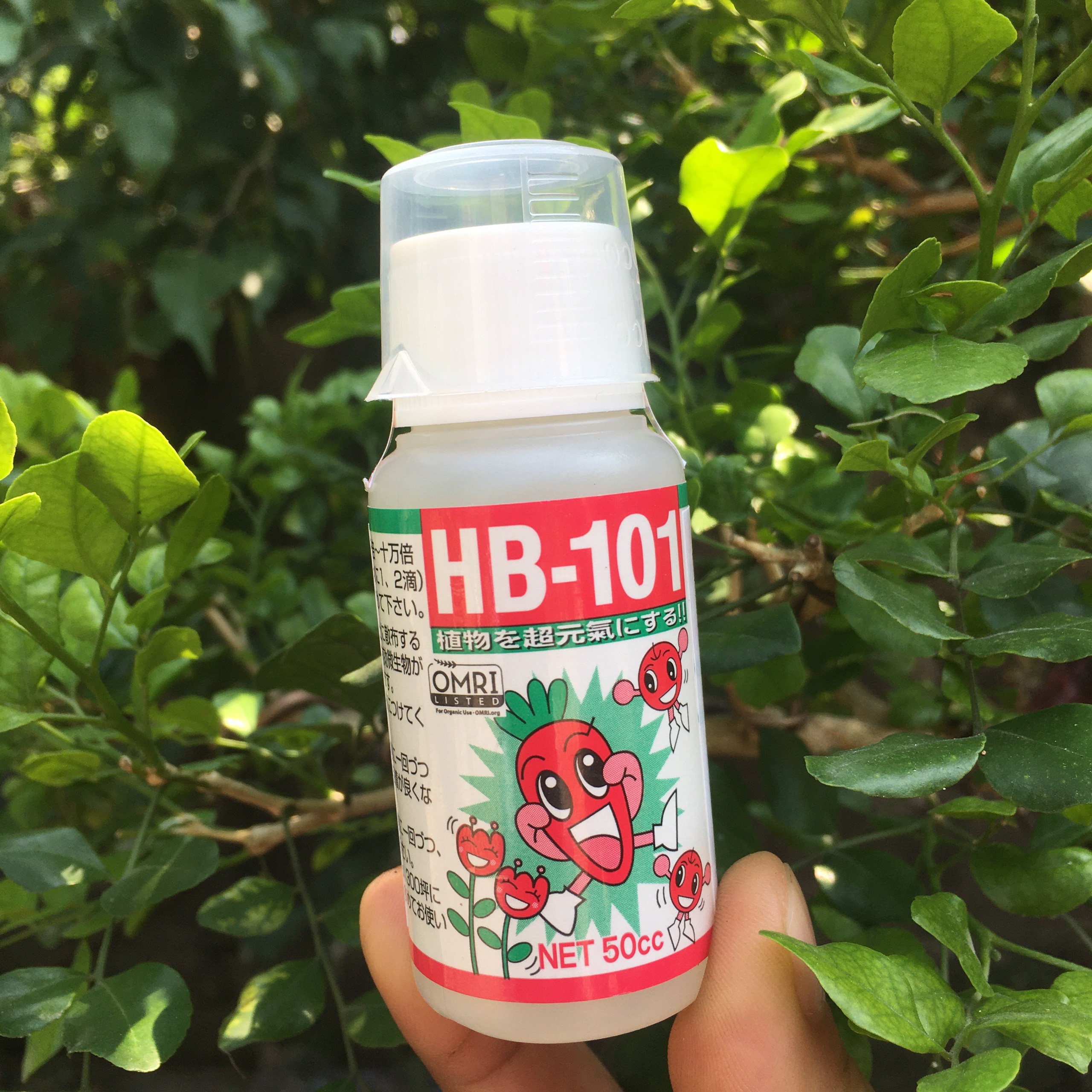 hb 101
