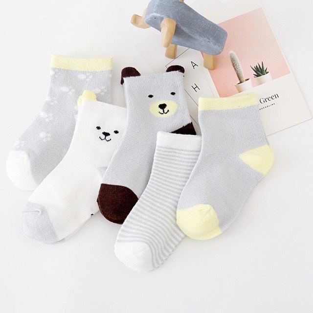 Set 5 đôi tất vớ cổ cao cho bé
