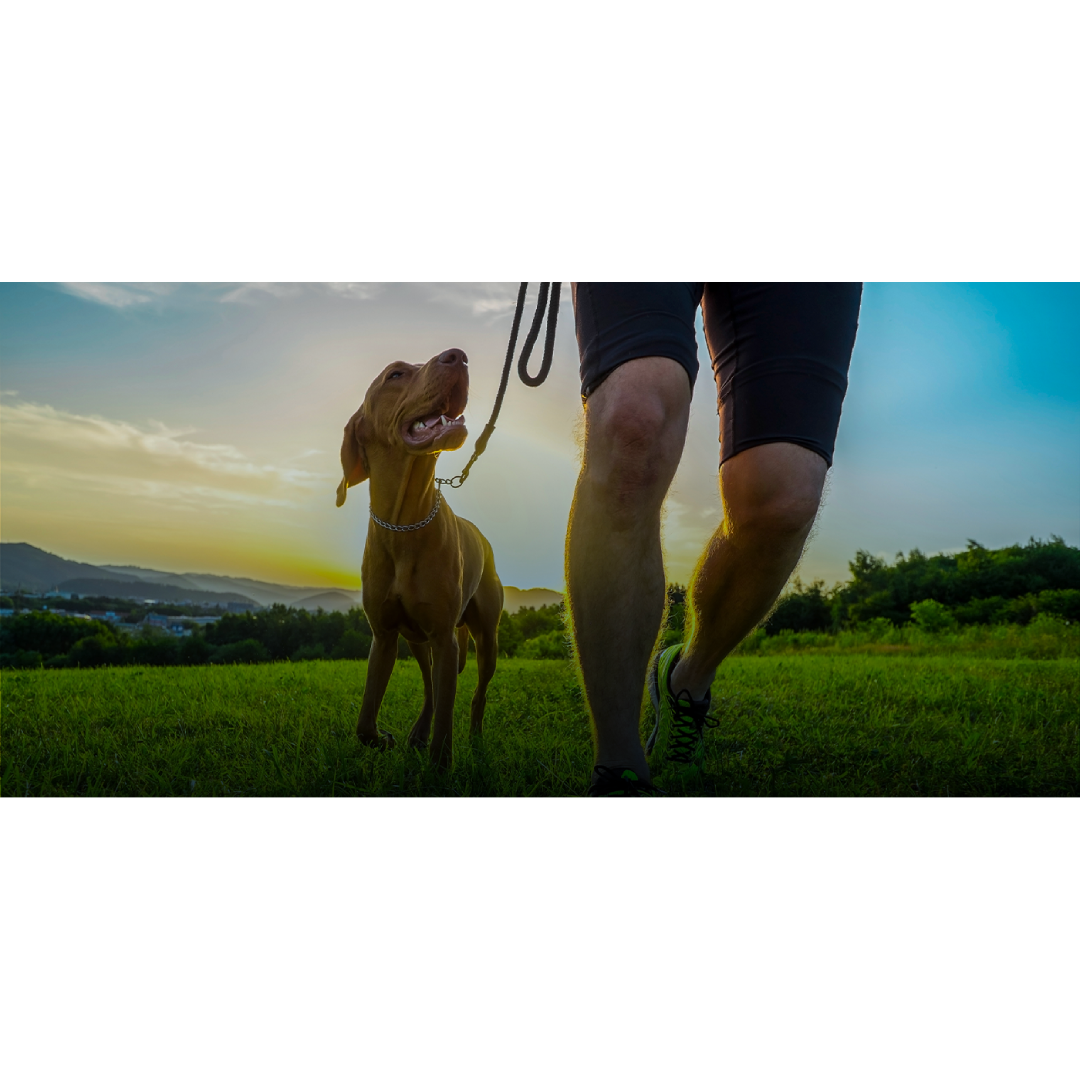 [QUÀ TẶNG KHÔNG BÁN] Đồ chơi Dây Thừng hình con Hươu