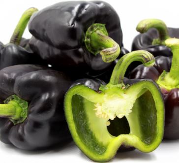 Gói 20  hạt giống Ớt Chuông Ngọt Trái Đen