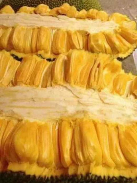 Mít Malaysia Siêu Dài