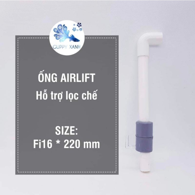 Đầu lọc Airlift cho lọc chế hồ cá guppy