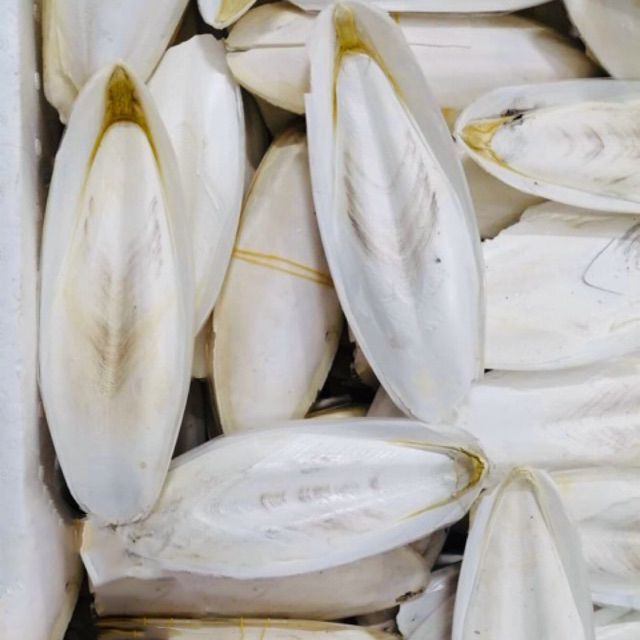 [Hàng công ty mới về] Mai mực (nang mực) khô 500g - Thảo Dược Tấn Phát - Chuyên dùng để sắc nước uống hoặc làm đông sương sa