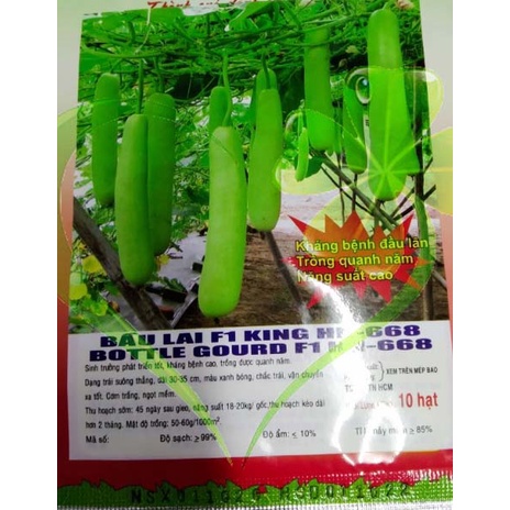 Hạt giống bầu trái dài F1 - gói 10 hạt