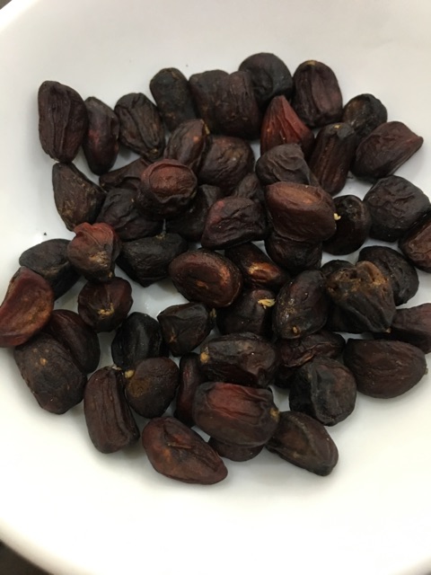 Hạt dổi nếp cây cổ thụ cực thơm ngon (Gói 10g)