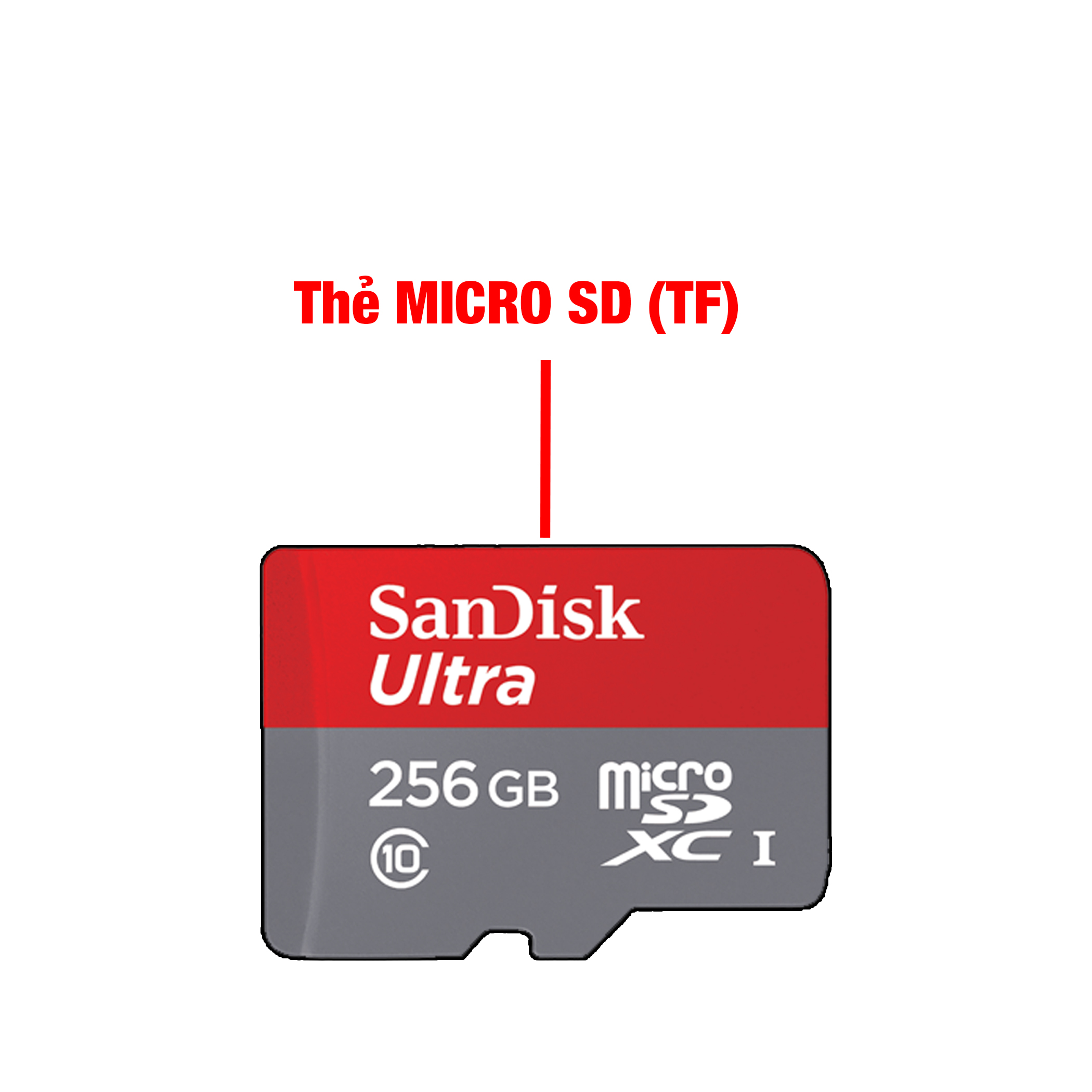 Đầu đọc thẻ nhớ Micro SD (TF), SD cho điện thoại Android Type C và IP "táo"