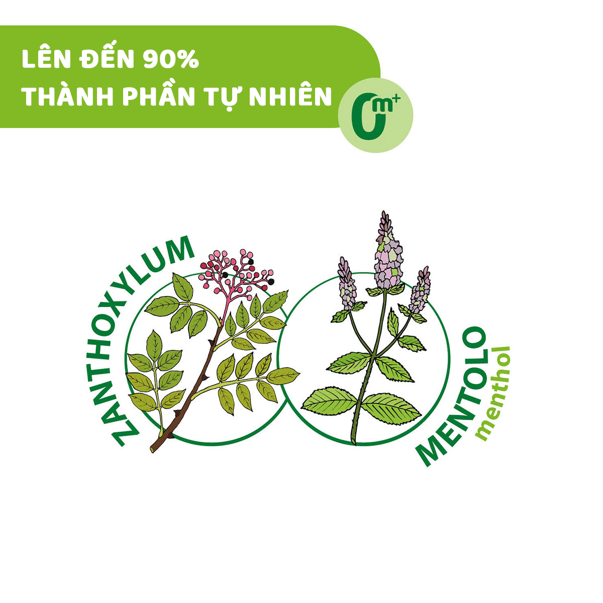 Lăn bôi vết muỗi đốt, côn trùng cắn Chicco NaturalZ
