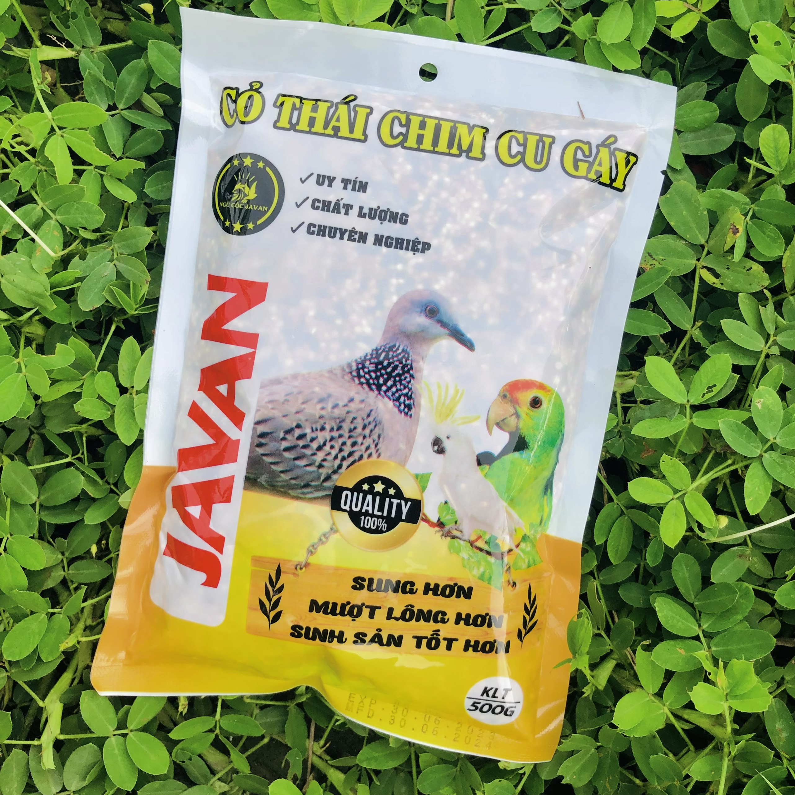 Cỏ thái chim cu gáy Javan 500gram
