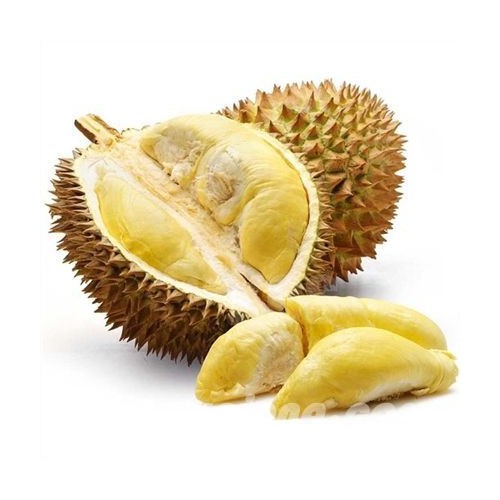 CÂY GIỐNG SẦU RIÊNG R6