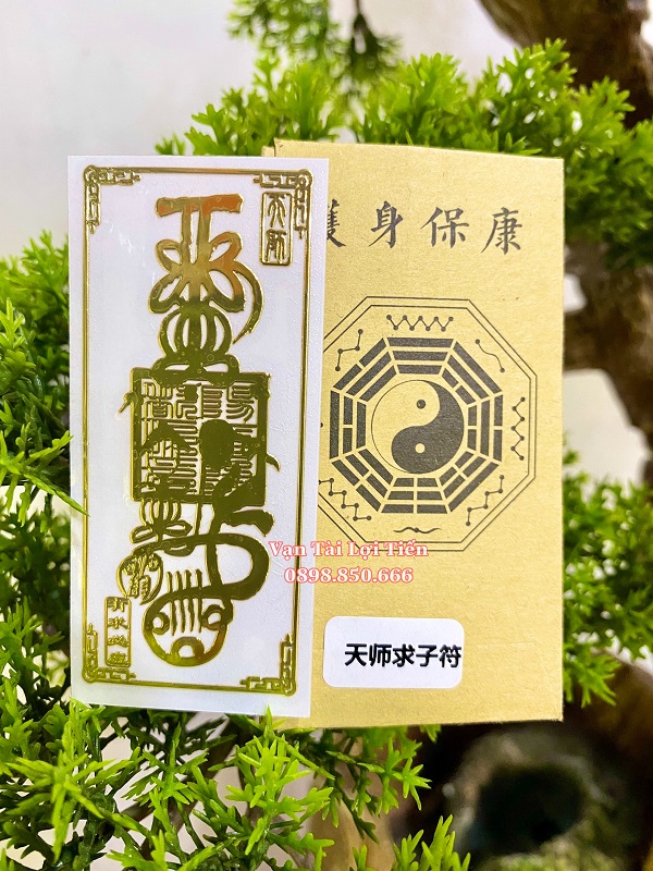 [HCM]Linh Phù Dán Cầu Con Hiến Muộn