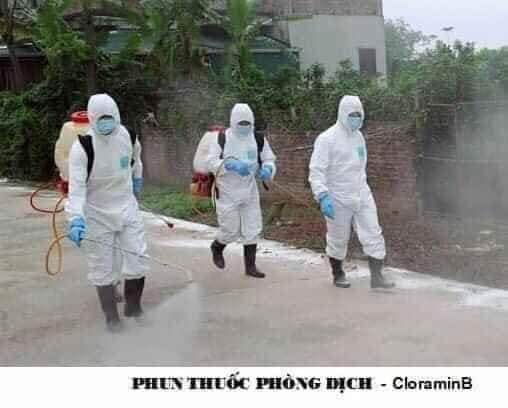 Bột Cloramin B sát khuẩn, khử trùng - Hàng Nhật (đóng gói 1kg)