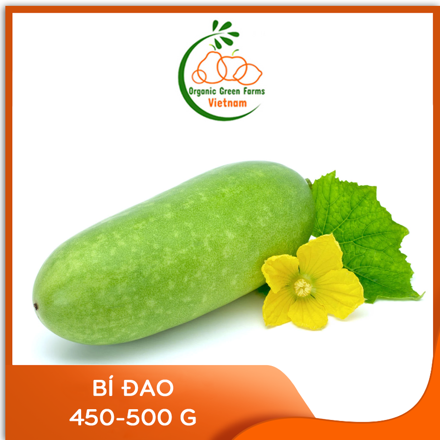 [OGF] - Bí đao nguyên trái (450g-550g) - [Giao nhanh TPHCM]