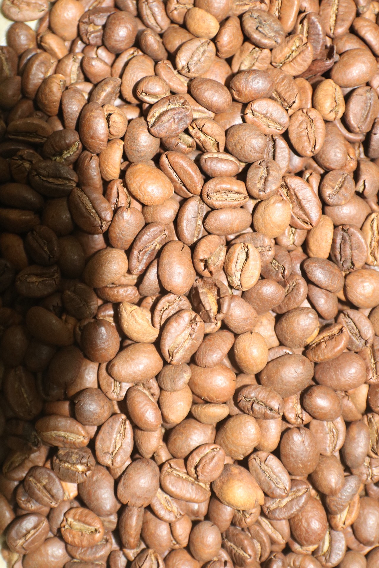 cà phê hạt robusta honey, rang mộc, pha phin hoặc pha máy