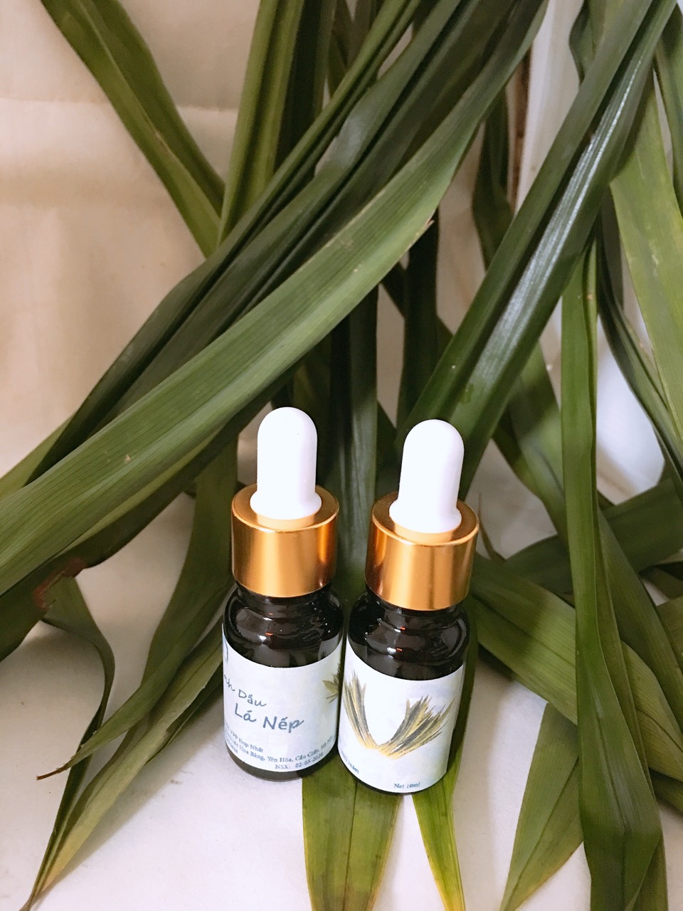Tinh dầu lá nếp thơm lọ 10ml