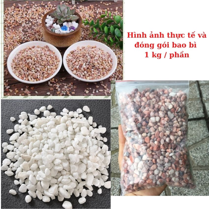 Sỏi hồ cá ( Chon Màu ) , Sỏi trang trí bể cá 1KG
