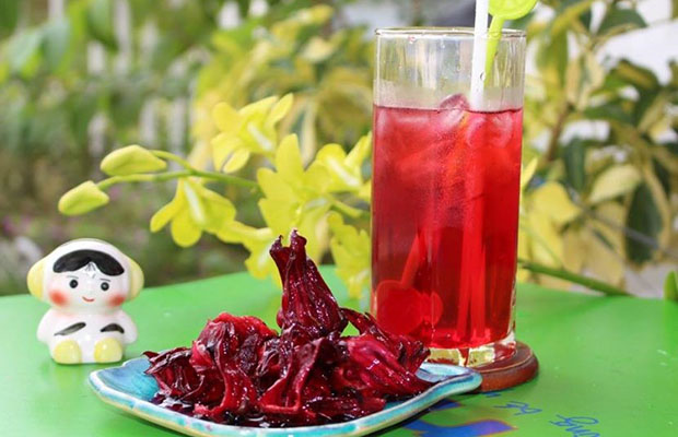 hibiscus, atiso