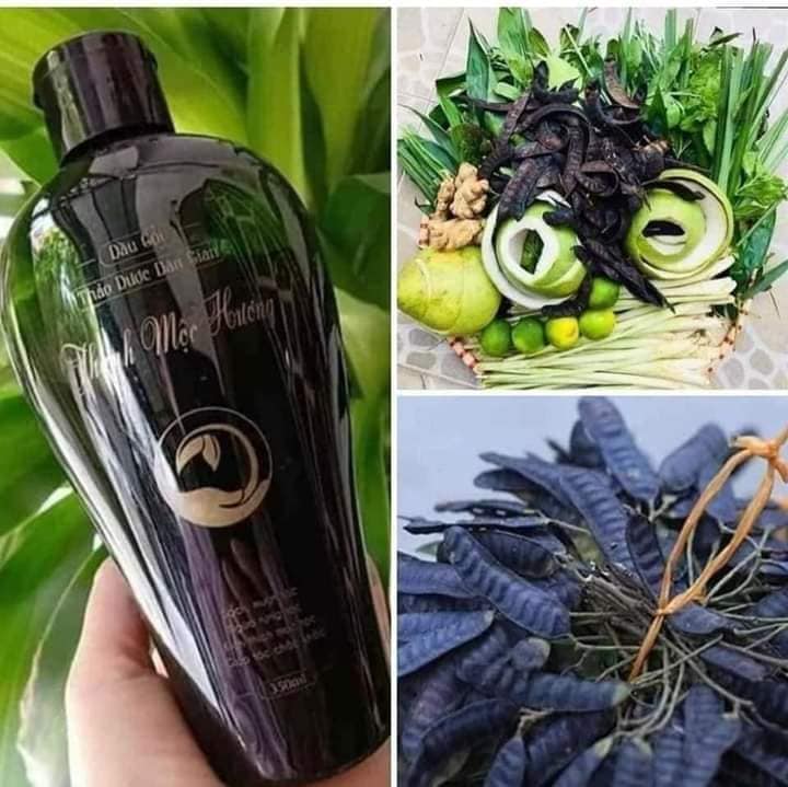 Combo Dầu Gội & Dầu Xả Thanh Mộc Hương