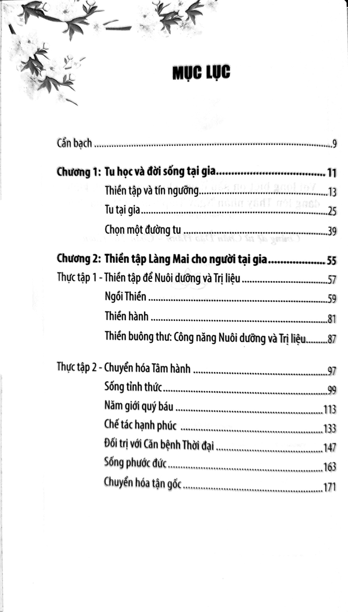 Sách - Con đường thiền tập tại gia