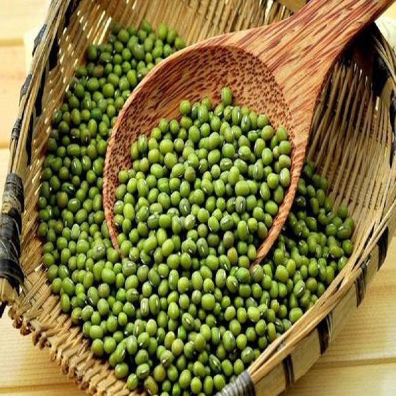Đậu Xanh Hạt Làm Giá Đỗ Hữu Cơ Ogarnic 500g