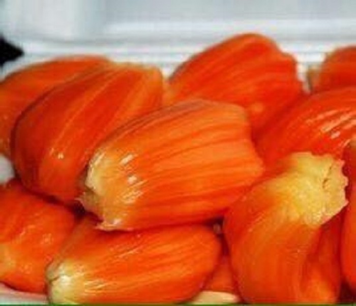 Cây MÍT RUỘT ĐỎ ghép, siêu quả thơm