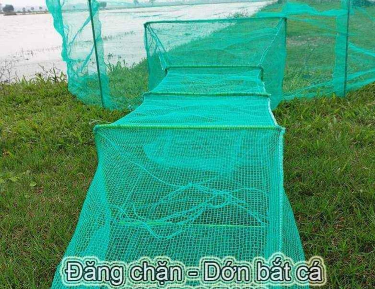 đăng ,dớn bắt cá