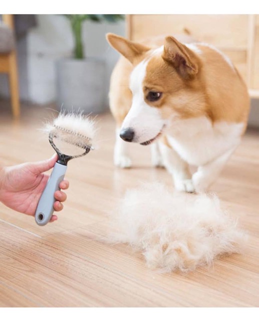 Lược gỡ lông rối cao cấp dành cho chó,mèo 🌈