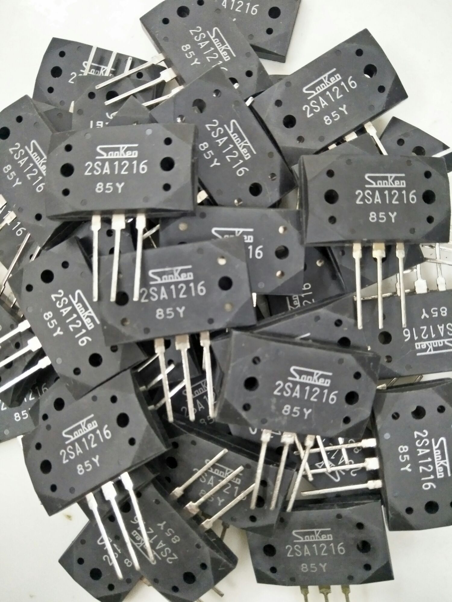 Cặp sò sanken loại 1 ( tặng ốc, lót sò)