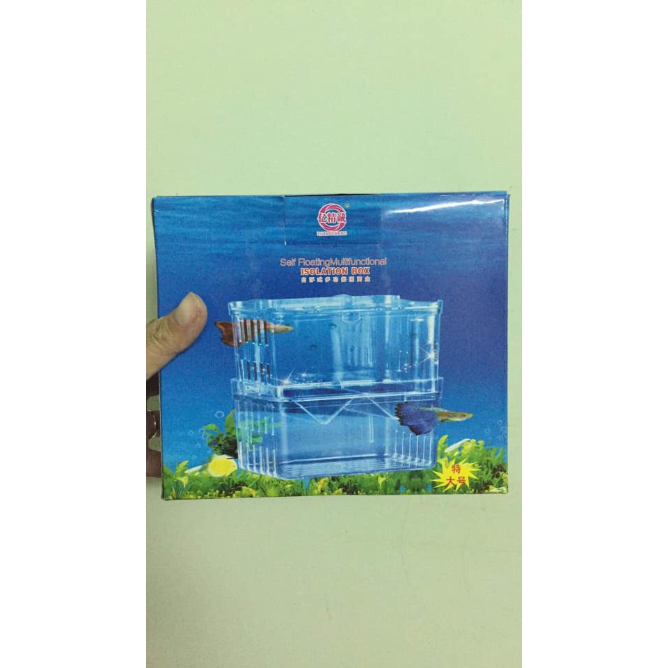 Lồng Đẻ Đôi Cho Cá Cảnh - Lồng Tách Và Dưỡng Cá Bệnh